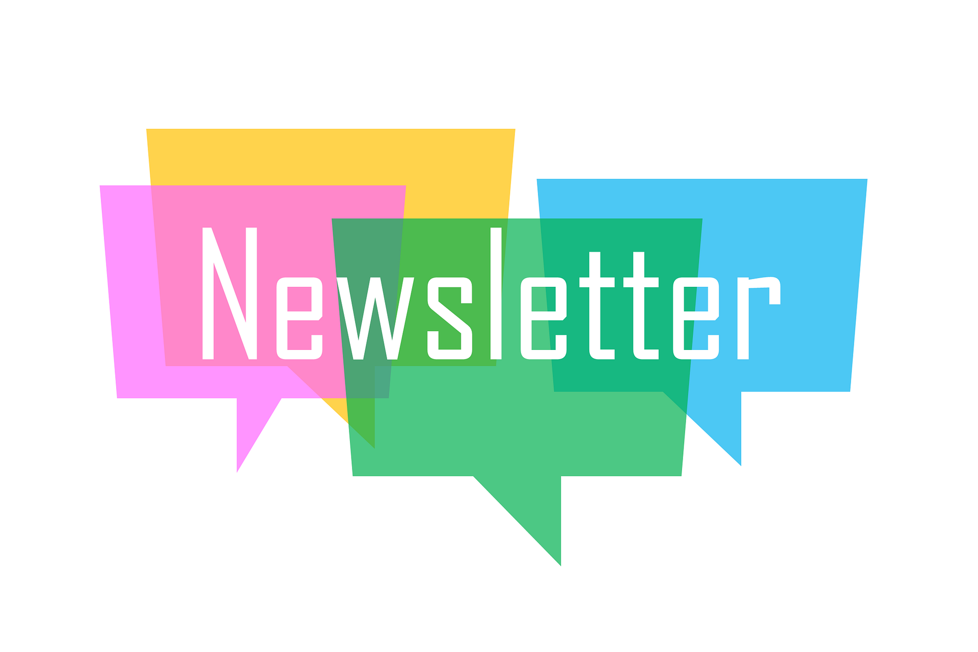 How to Create a Newsletter to Grow Your Customer Base - WyzGuys  Cybersecurity